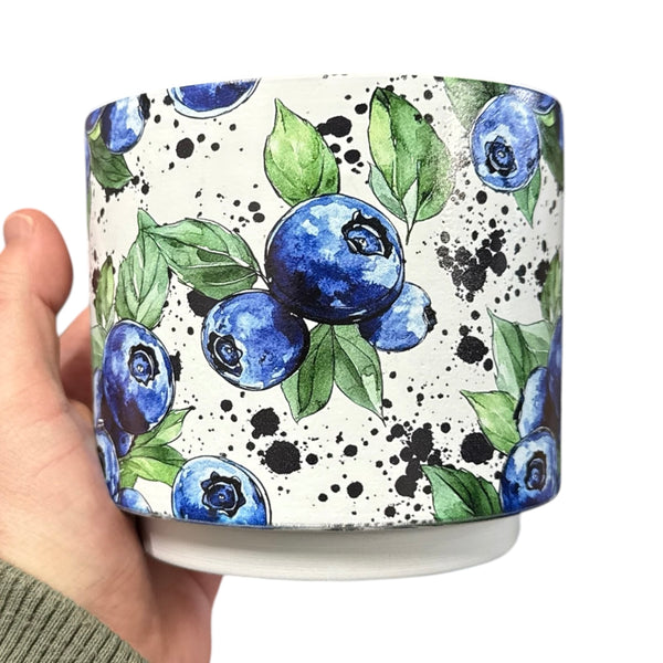 Pot terracotta bleuets