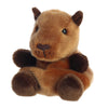 Sid Capybara — Palm Pals Aurora