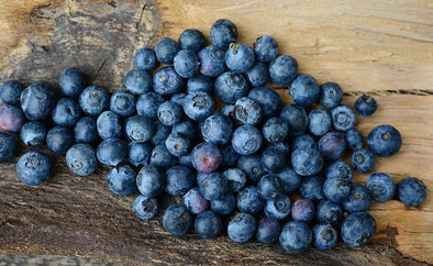 Et si la consommation de bleuets vous aidait au contrôle de votre poids?