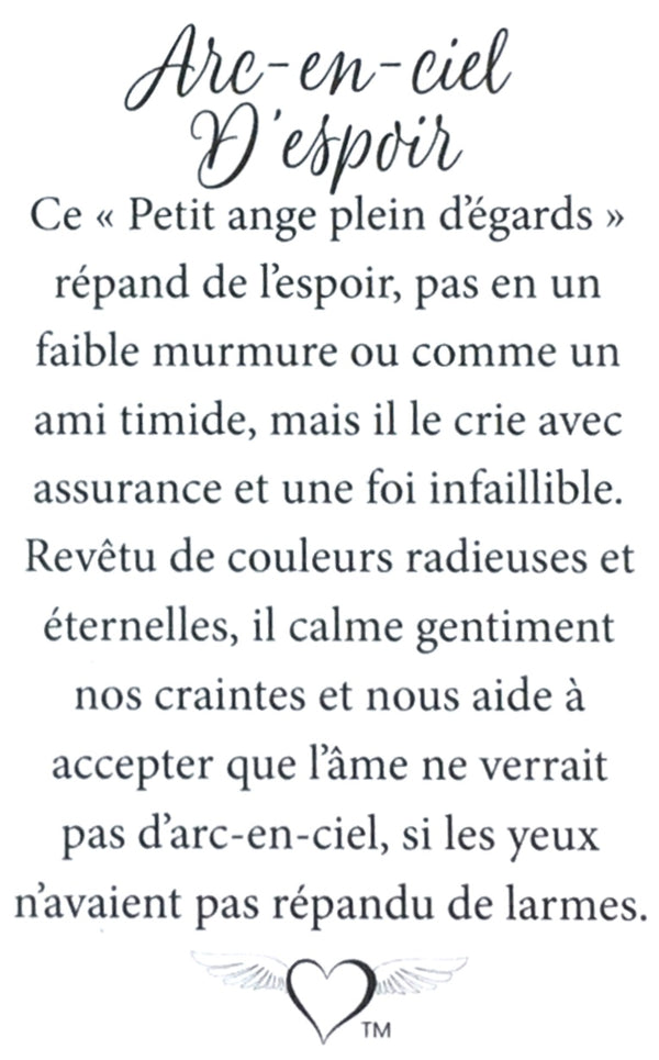 Épinglette Ange : Arc-En-Ciel D'Espoirs