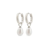 ELLIANA boucles d’oreilles plaqué argent