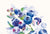 Placemat - Cornflower Collection