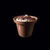 Chococo au lait, chocolat de Crucial Gourmet